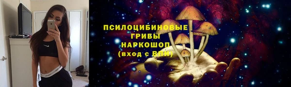 apvp Балабаново